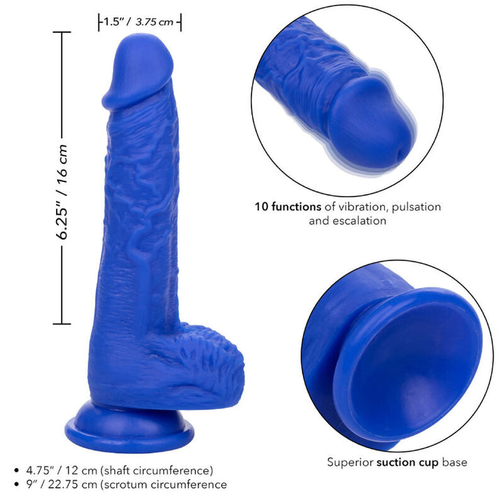 CALEXOTICS - ADMIRAL SAILOR DILDO VIBRADOR REALISTA AZUL