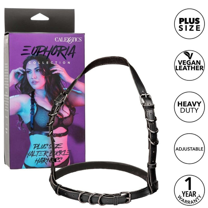 CALEXOTICS - EUPHORIA ARNÉS CON HEBILLA PARA CABALLERO TALLA GRANDE NEGRO