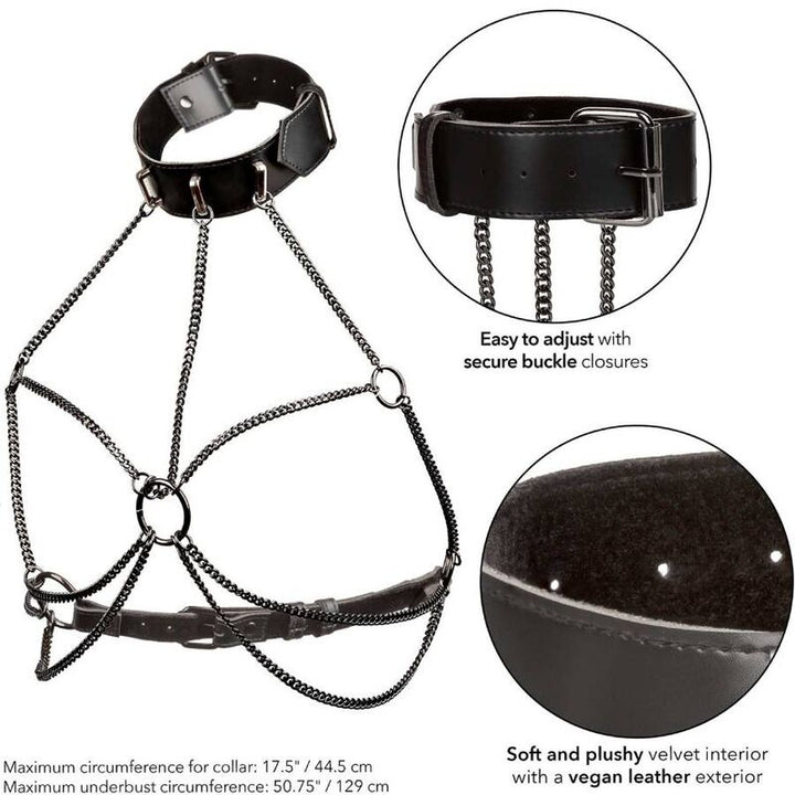 https://dreamlove.gesio.be/productos/imagenes/img_173083_a2539821ffcbd794101ca73abff779d1_1.jpg