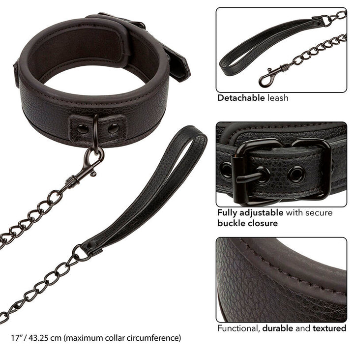 CALEXOTICS - COLLAR NOCTURNO Y CORREA DE CUERO AJUSTABLE NEGRO